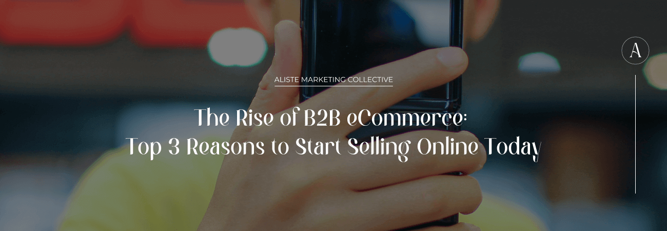 the rise of b2b ecommerce - banner